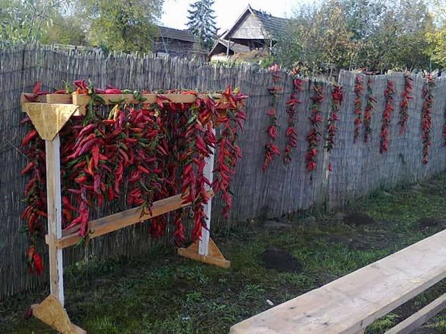 selyembojt kulturális napok 16